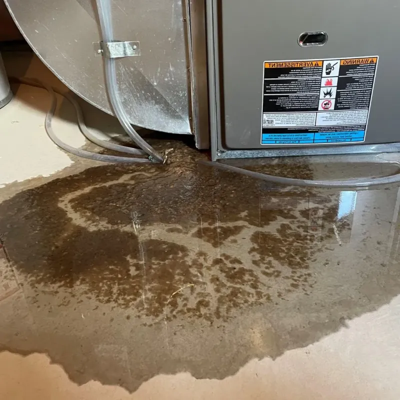 Pipe Burst and Leak Restoration in Staten Island, NY